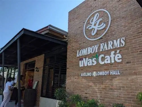 Собрать виноград, попробовать и сочетать вина, а также купить сувениры можно в кафе «Увас».