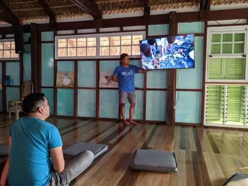 Знакомство с усилиями CURMA по сохранению черепах