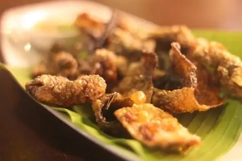 Очо - Чичарон из шкуры тунца