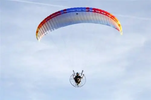 Филиппинский международный фестиваль воздушных шаров 2020 в КАЛАБАРСОНЕ