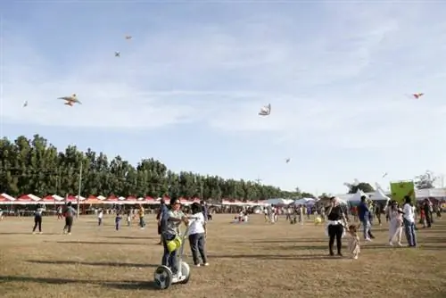 Филиппинский международный фестиваль воздушных шаров 2020 года