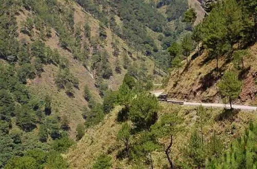 Чем заняться и что посмотреть в Сагаде для начинающих путешественников