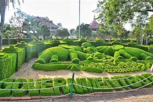 Красивый сад внутри парка Тируванантапурам