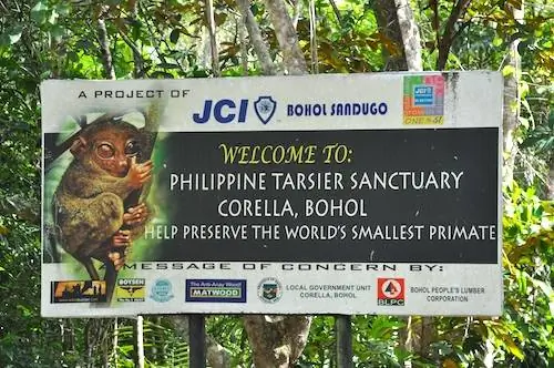 Заповедник Корелла Долгопят на Бохоле