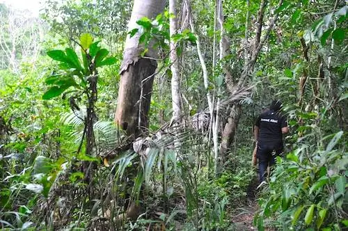 Внутри заповедника долгопятов