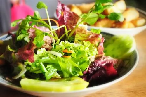 Садовый салат в Oh My Gulay - доступные места, где можно поесть в городе Багио