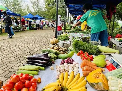 Фермерский рынок Паунай в Валенсии Negros Oriental