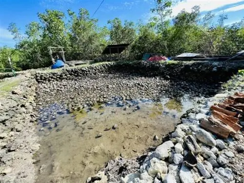 Кокосовая шелуха, замоченная в соленой воде