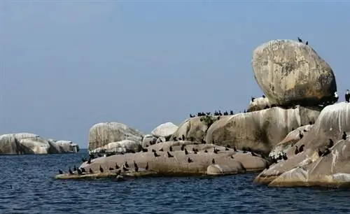 Скальные образования на озере Виктория в Танзании, автор Ричард Мортель, Wikimedia cc.