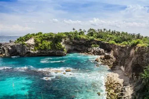 Нуса Ченинган