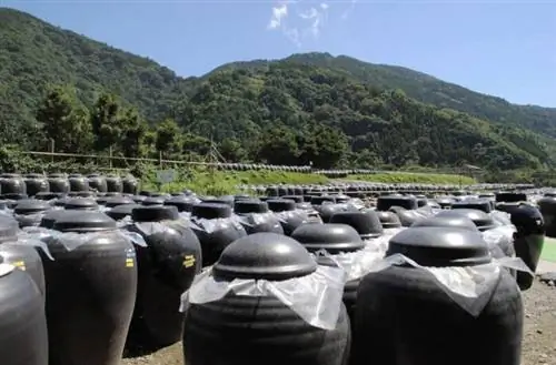 Черный уксус Кагосимы. Фото сделано на странице Путеводителя по Кагосиме на Facebook.