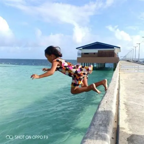 Лети высоко, малыш