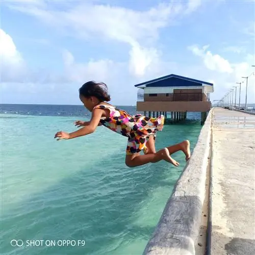 Помогите сделать водораздел Ла-Меса более зеленым с помощью благотворительного фотоконкурса OPPO x ABS-CBN Bantay Kalikasan