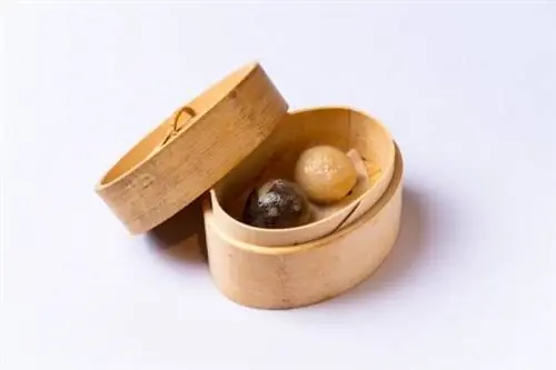 Сладкие хрустальные пельмени на пару (паста из красной фасоли и яичный заварной крем)