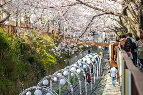 Фотография фестиваля Чинхэ Кунхандже с сайта DepositPhotos.com Фотография фестиваля Чинхэ Кунхандже с сайта DepositPhotos.com