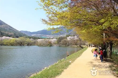 Экологический экопарк Чинхэ NFRDI, фото с сайта VisitKorea.or.kr Экологический экопарк Чинхэ NFRDI, фото с сайта VisitKorea.or.kr