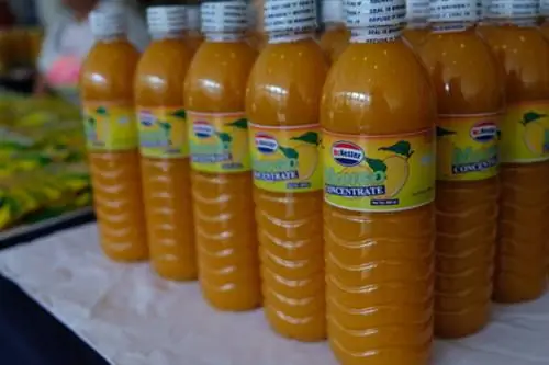 Концентрат манго от Гимараса