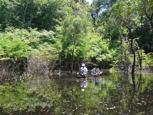 Гребля на каноэ