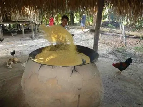 Приготовление цветов маниока