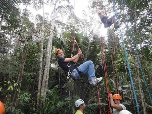 Восхождение на бразильский орех