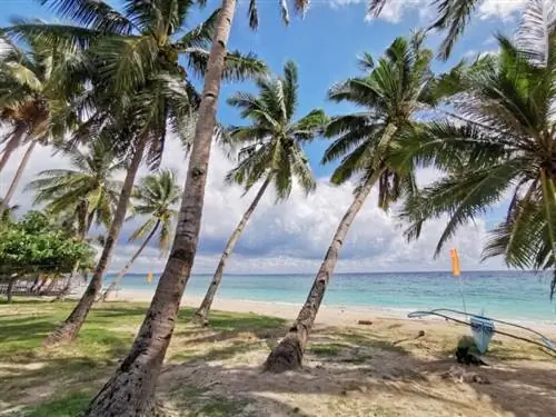 Пляж на острове Карабао