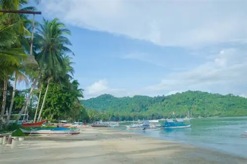 Порт-Бартон-Бич