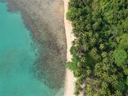 ПУТЕВОДИТЕЛЬ САН-ВИСЕНТЕ-ПАЛАВАН: маршрут своими руками, как и когда ехать и многое другое