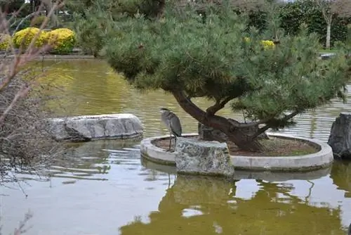 Японский сад дружбы (Парк Келли), Олег Александров, Wikimedia cc.