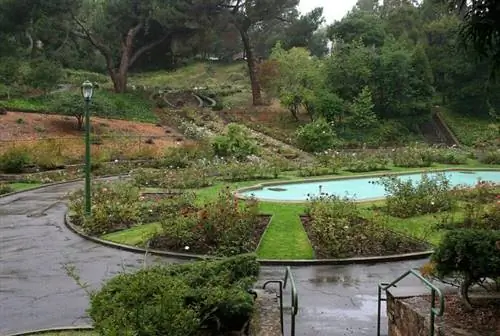 Розарий Моркома, автор Калибас, Wikimedia cc