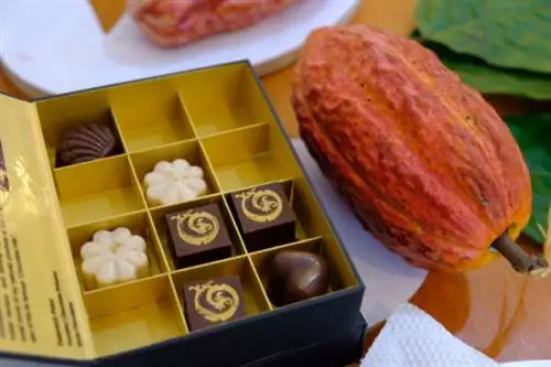 Шоколад мирового класса, приготовленный из какао местного производства.