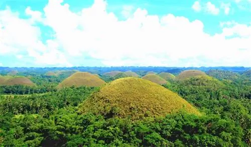 Путеводитель по Бохолу: требования, маршрут, чем заняться и многое другое