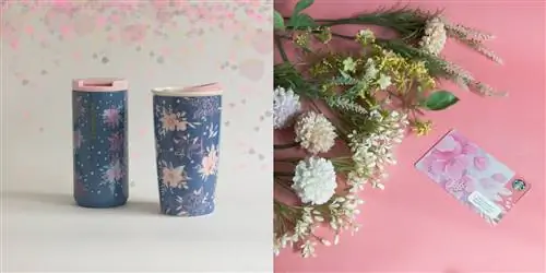 Попробуйте Cherry Blossom в Starbucks