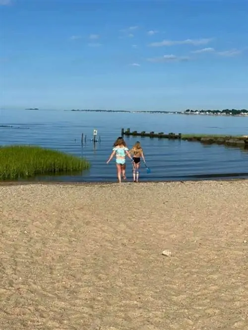 Harvey’s Beach CT, автор Алисия Батлер через Facebook
