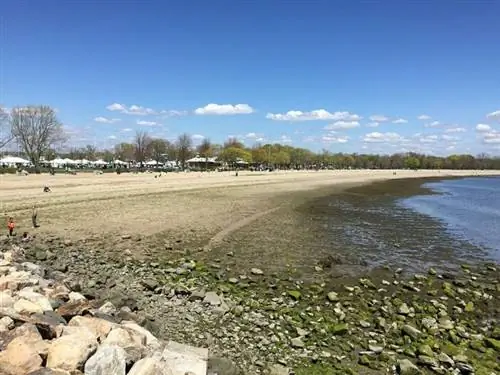 Calf Pasture Beach, муниципальный пляж и парк в Норуолке, Коннектикут, автор Jllm06, через Wikipedia CC.