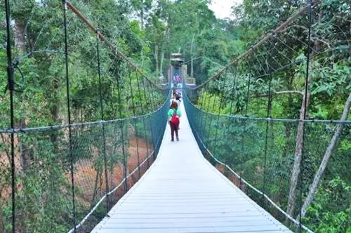 Прогулка по джунглям в деревне слонов Кенир