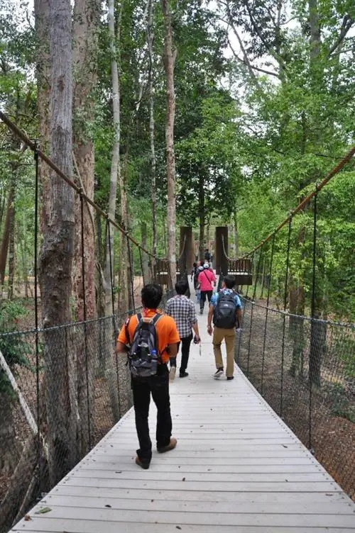 Повышенный навес в Деревне слонов