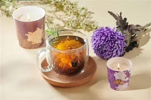 KiKi Tea и Shanghai Tang совместно представляют два осенних напитка Snapworthy ограниченной серии