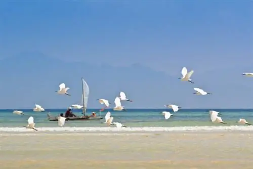 Остров Кагбалете