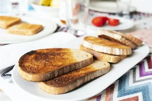 Фото каталонского завтрака через Depositphotos