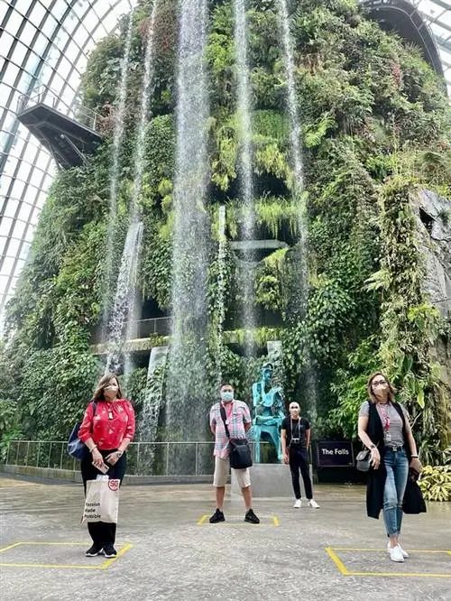 Филиппинские участники TravelRevive со спокойной душой наслаждаются флорой и освежающей зеленью в Садах у залива.