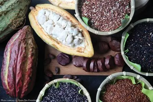 Разнообразие злаков, выращенных в горах Кордильер, но что это именно?