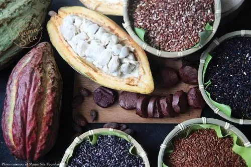 Рис по случаю: проект Фонда Мамы Сита по семейным реликвиям