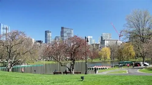 Бостонский общественный сад