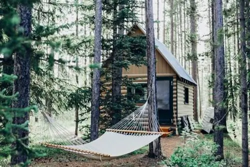 Аренда лесного дома от Кары Фуллер через Unsplash