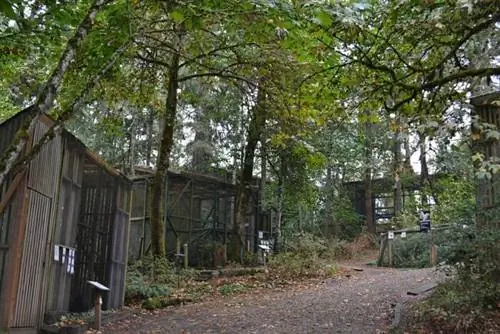 Центр Каскадных Хищников, автор Visitor7 через Wikimedia cc Центр Каскадных Хищников, автор Visitor7 через Wikimedia cc