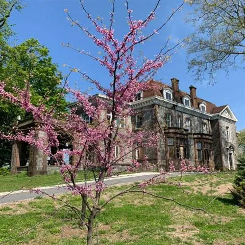 Заповедник Ленуар