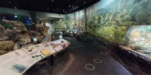 Музей Северной Каролины Изображение взято с их страницы в Facebook.