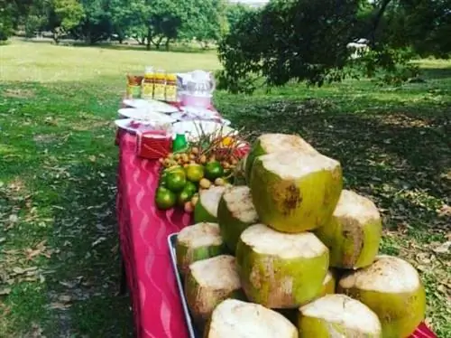 Ферма тропических фруктов Малакки