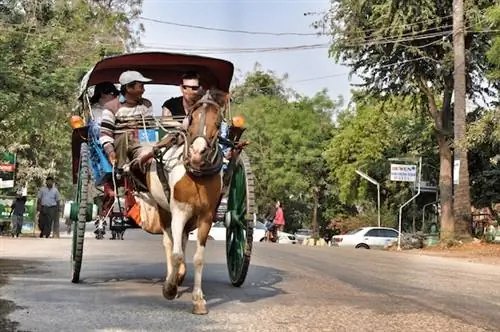 Конные повозки в Нью-Багане