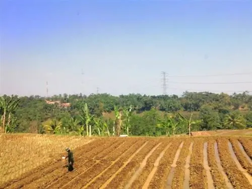 Захватывающие виды, сделанные во время поездки на поезде в Бандунг.